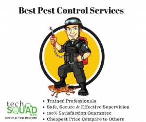 Pest control service for home and office Bangalore